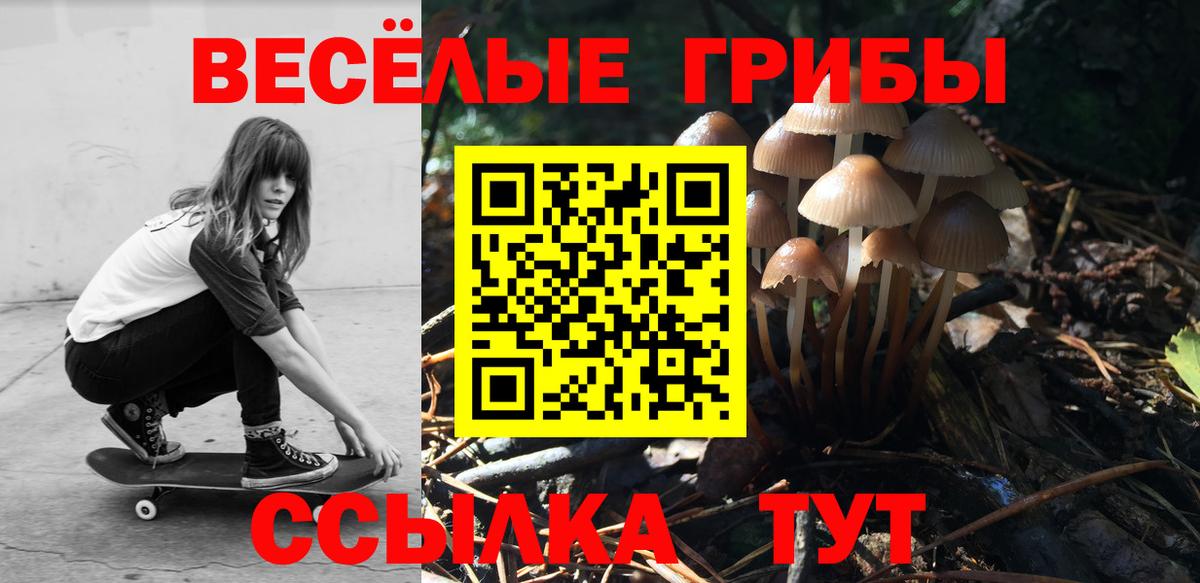 Галлюциногенные грибы мицелий Лянтор